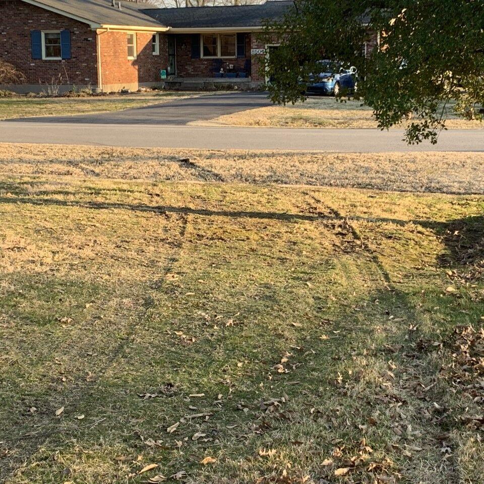 Tire marks in grass from police chase that ended with man shot by LMPD officer